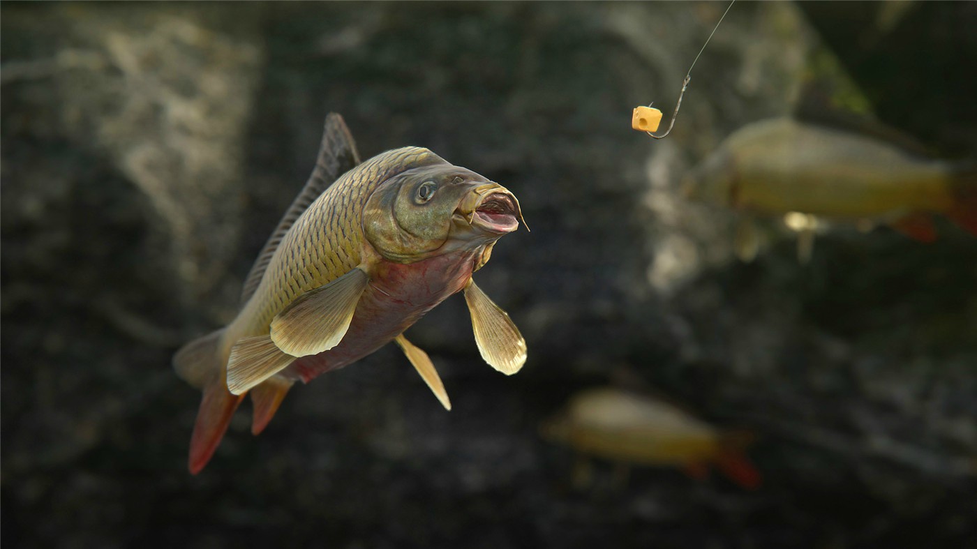 《人渣》v0.9.536.86452中文版--第12张图片 《人渣》v0.9.536.86452中文版--第12张图片