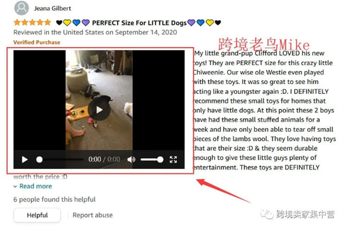 亚马逊的视频营销 亚马逊 SEO推广 第9张 亚马逊的视频营销 亚马逊 SEO推广 第9张